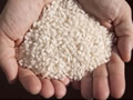 美国或将出台米与米制品中砷的限量标准