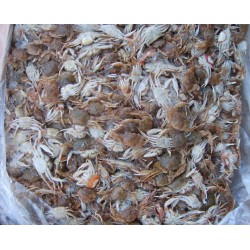 宇明水产宇明水产食品--水产品加工冷冻小蟹（FROZEN BABY CRAB