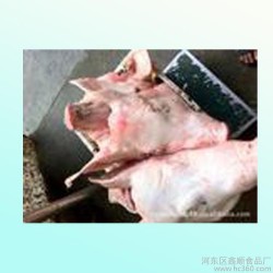 鑫顺食品A猪肉，冷冻猪肉，猪系列产品，欢迎