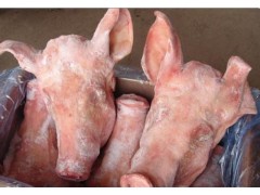 冷冻猪头 冷冻猪蹄 冷冻猪肚 山东冷冻猪副产品供应商