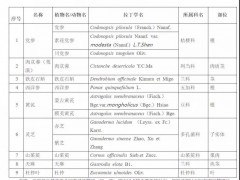 两部门发文：对灵芝、黄芪等9种物质试点既是食品又是中药材管理