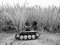 农业机器人：农事监测好帮手