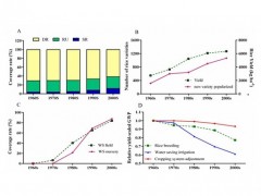 我国水稻50年增产130%减排70%