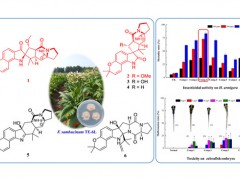 新型化合物可制造高效低毒生物农药