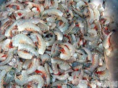 感觉自己“懵懵哒” 袋装虾仁中虾壳竟占两成
