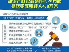 公安机关侦破食药环和知识产权犯罪案件2.78万起 抓获犯罪嫌疑人4.8万名