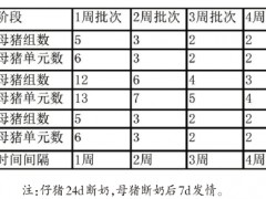 防控非洲猪瘟　稳定生猪生产（下）