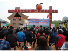 首届高明农业科技博览会在南宁举行 青柚、无核沃柑受热捧