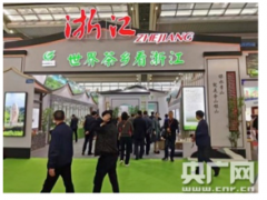 数百款名优茶产云集 2019浙江（深圳）绿茶博览会开幕