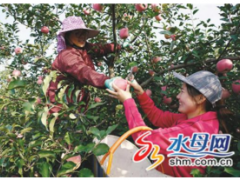 烟台，凝聚世界目光———烟台国际果蔬·食品博览会20年回眸（上）