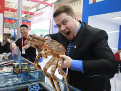 “虾兵蟹将”集体亮相 第24届中国国际渔业博览会在青岛开幕
