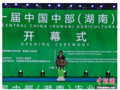 第二十一届中国中部（湖南）农业博览会长沙开幕