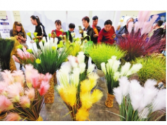 2019河南（郑州）国际现代农业博览会开幕
