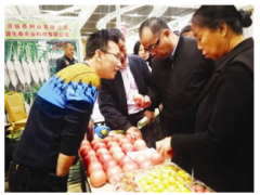 西青区种业博览会 展示天津蔬菜发展