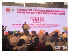 为期3天的2019世界水果产业博览会在广州琶洲展馆开幕