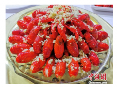 2019武汉美食文化节开幕 荆楚美食呈现视觉盛宴