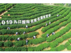 2019九江国际名茶名泉博览会5月29日至31日在九江举行