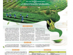 2019首届中国（日照）国际茶叶博览会