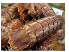 第十届威海国际食品博览会海鲜美食节21日开幕