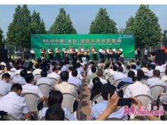 2019中国(昌乐)西甜瓜科技博览会开幕 亮点纷呈