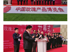 2019中国玫瑰产品博览会暨中国（平阴）玫瑰文化节开幕
