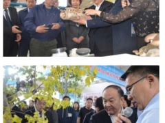 第八届黄河三角洲(滨州惠民)绿化苗木交易博览会开幕