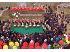 米脂县首届果花文化旅游节开幕 在果花飘香的陕北等你