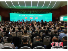 第11届中国·贵州国际茶文化节暨茶产业博览会开幕