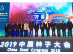 2019中国种子大会开幕