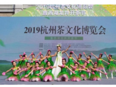 2019杭州茶文化博览会开幕 龙坞茶镇晋升4A景区