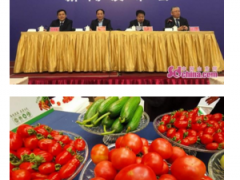 第二十届中国（寿光）国际蔬菜科技博览会将于4月20日开幕
