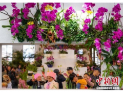 第二十九届中国兰花博览会在贵州惠水开幕