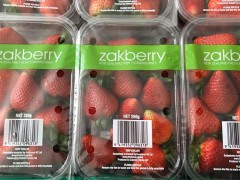 新西兰召回可能含异物的草莓