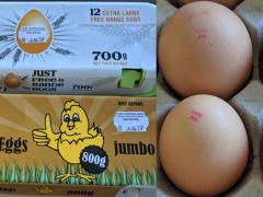 澳大利亚召回两款可能受沙门氏菌污染的鸡蛋