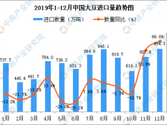 2019年12月中国大豆进口量为954.3万吨 同比增长66.8%