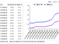 2019年10月猪肉市场供需形势分析：猪价快速上涨后企稳