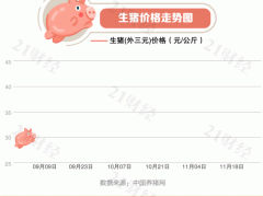 猪肉真降价了！最新全国生猪价格地图出炉，10省市跌破15元一斤