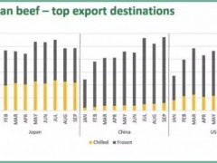 今年以来激增73%！中国有望超过日本成澳洲最大牛肉出口目的地