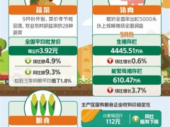 蔬菜、水果、猪肉、粮食等农产品价格涨跌互现——主要农产品价格走势三问