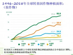 ISAAA发布报告：转基因作物种植23年，种植面积增加约113倍