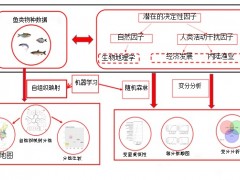 水生所在中国淡水鱼类多样性及群落组成影响机制研究中取得进展