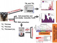 城市环境所在水稻土厌氧铁铵氧化过程研究方面取得进展