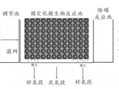 我国海水养殖废水处理技术再获新进展