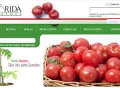 美墨番茄贸易战：番茄恐涨价85%，但农场主告诉一财“不战不行”