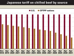 美国农民干瞪眼！1月CPTPP生效国对日牛肉出口创新高