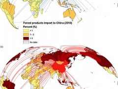 美国龙虾宁愿降价也不想把中国市场拱手让给墨西哥龙虾