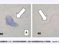 自来水中也有微塑料，这个国家最严重