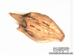 河北京唐港口岸在进口美国大豆中截获大量杂草种子