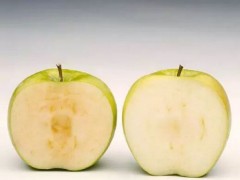 转基因苹果将在美国上市，不会贴上转基因标志！