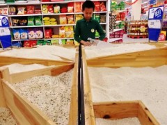 进口量全球第一，中国为什么还要出口大米？